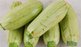 吃瓜的瓜图片,揭秘吃瓜群众的趣味生活