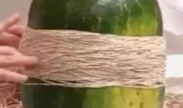 抱抱乌勒吃瓜,一场欢乐的夏日盛宴