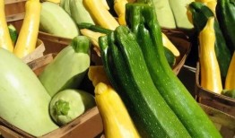 吃瓜养命,揭秘日常饮食中的健康秘密