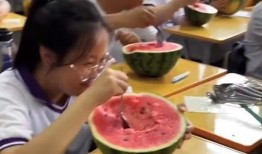 吃瓜教室,揭秘娱乐圈幕后真相，带你走进明星生活