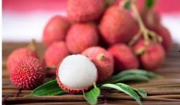 瓜吃荔枝,品味瓜果与荔枝的完美邂逅