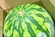 武汉吃瓜图,一场网络热议背后的城市生活剪影