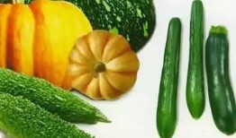 淮南师范吃瓜,吃瓜群众眼中的校园风云录