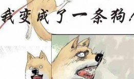 吃瓜乐安小说在线阅读,一场穿越时空的甜蜜冒险