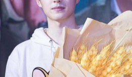 向然mv吃瓜,一场“吃瓜”盛宴，揭秘娱乐圈背后的秘密