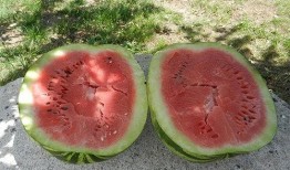 梦见吃黄色的瓜,探寻黄色瓜果的神秘寓意