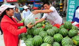北方烈阳吃瓜,一场夏日消暑盛宴