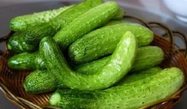 商职院事件吃瓜,揭秘校园风波背后的真相与反思