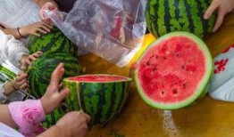 广东深圳吃瓜视频,揭秘城市生活百态