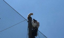 吃瓜群众铁柱,揭秘娱乐圈那些事儿