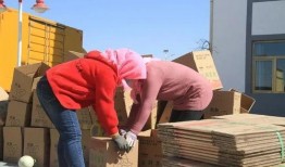 民勤吃瓜事件,一场引发社会关注的网络热议