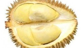 吃榴莲可以吃小瓜吗?,揭秘榴莲配小瓜的独特风味