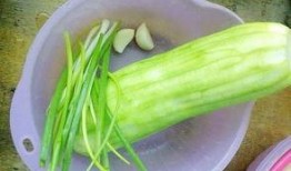 水瓜烂掉可以吃,神奇发酵美食之旅