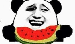 吃瓜群众龙套,揭秘娱乐圈幕后风云