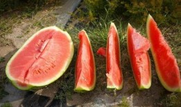 周日吃瓜,揭秘娱乐圈幕后故事