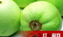 吃田瓜有什么好处,揭秘吃田瓜的五大益处