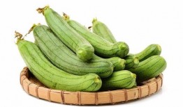 美人瓜怎么吃最好吃,解锁最佳食用秘诀