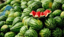 抱抱乌勒吃瓜,一场欢乐的夏日盛宴