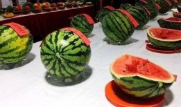 午门村吃瓜,一场别开生面的吃瓜盛宴