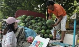 济宁俱乐部吃瓜,揭秘吃瓜群众的欢乐盛宴