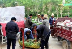 石佛寺镇吃瓜事件