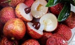 娱乐吃瓜酱荔枝,揭秘娱乐圈那些不为人知的幕后故事