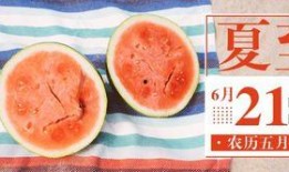 吃瓜公众号代发,代发生态的崛起与影响