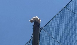 吃瓜群众铁柱,揭秘娱乐圈那些事儿