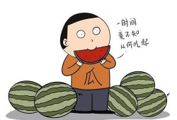 有瓜吃英文怎么写,Unveiling the Secrets: How 'There's a Melon to Be Had' Transforms into 'There's a Melon to Be Eaten' in English
