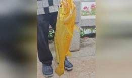 大爷翻车吃瓜,意外成为网络笑柄