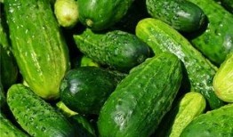 梦见吃树瓜,揭秘吃树瓜的神秘寓意