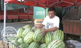 商职院事件吃瓜,揭秘校园风波背后的真相与反思