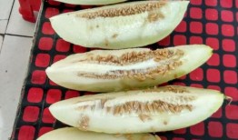 郓城园区吃瓜,清凉一夏，共享瓜香