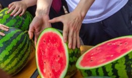 广州学校吃瓜事件,校园食品安全风波引发关注