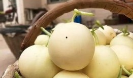 唇齿吃瓜,夏日消暑美食之旅