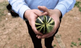 济宁俱乐部吃瓜,揭秘吃瓜群众的欢乐盛宴