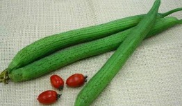 北方烈阳吃瓜,一场夏日消暑盛宴