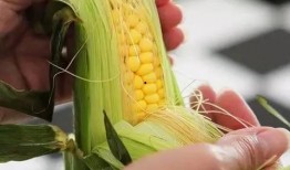 苞米公主吃瓜现场,揭秘娱乐圈幕后风云