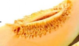 吃蜜瓜影响月经,探究甜蜜与生理周期的微妙关系