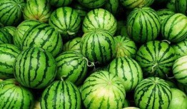 西西吃瓜网,西西吃瓜网带你领略明星幕后故事