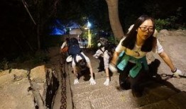 吃瓜小分队成都,探寻美食与趣闻的欢乐之旅