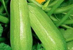 西西吃瓜网,西西吃瓜网带你领略明星幕后故事