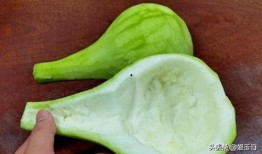 瓠瓜儿童可以吃吗,儿童适宜的蔬菜选择