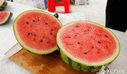 吃瓜上海视频,吃瓜视频背后的城市生活画卷