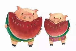 猪吃瓜图,猪吃瓜图鉴