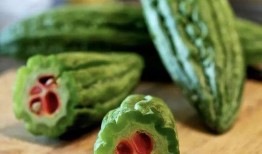 大暑吃瓜乐文章,瓜果飘香，畅享清凉夏日时光