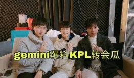 gemini转会吃瓜,揭秘电竞圈的最新瓜料