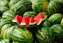 吃瓜的瓜甜不,揭秘吃瓜群众的甜蜜生活