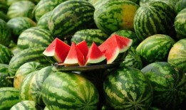 吃瓜的瓜甜不,揭秘吃瓜群众的甜蜜生活