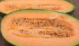 吃哈密瓜什么梗,一场甜蜜的误会引发的美食狂欢